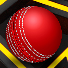 Competições de críquete e apostas nelas na BetiBet